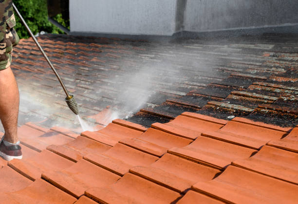 Best Commercial Building Pressure Washing  in Plattsmouth, NE