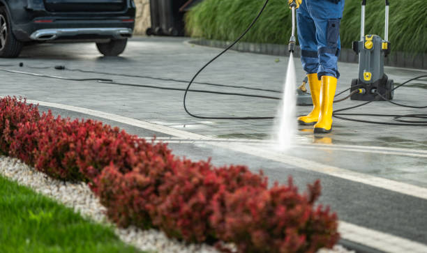Best Commercial Building Pressure Washing  in Plattsmouth, NE